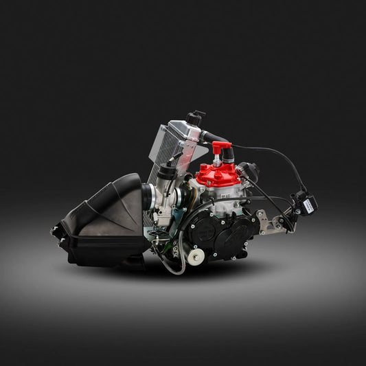 125 Senior MAX Evo